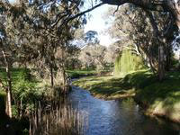 adelaide-pitman_park-torrens_river.jpg